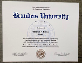 How long does it take to buy a Brandeis University diploma online?