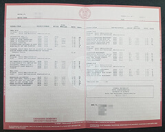 Where to buy fake Cornell University transcript?