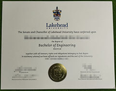 How to buy a Lakehead University degree certificate?