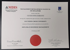 Management Development Institute of Singapore Certificate