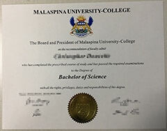 How to buy Malaspina University degree certificate?