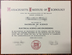 How long does it take to buy a Massachusetts Institute of Technology diploma?