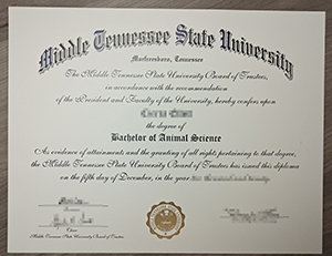 What should I pay attention to when buying a fake Middle Tennessee State University diploma?