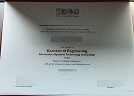 Singapore University of Technology and Design diploma