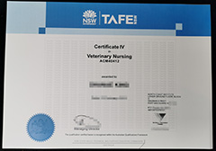 How to obtain a TAFE New South Wales certificate easily?