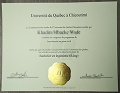 Université du Québec à Chicoutimi degrees for sale online.