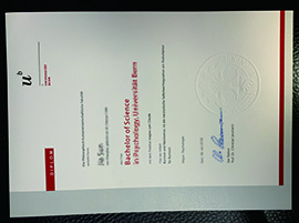 How long does it take for me to buy a fake University of Bern diploma?