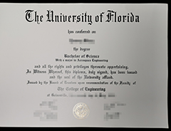 How to buy a University of Florida bachelor’s degree certificate?