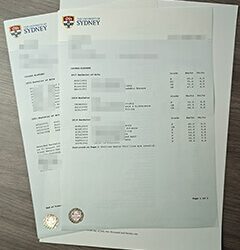 University of Sydney transcript