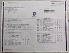 Where can I buy University of Western Ontario transcript?