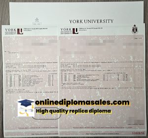 Sell ​​York university transcript online.