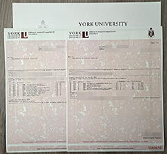 Sell ​​York university transcript online.