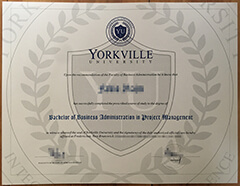 How long does it take to buy a Yorkville University diploma?