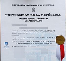 How to buy a fake diploma from university of university of la republica?